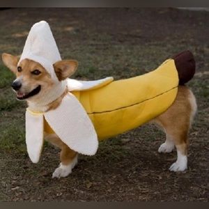 Pet Banana Costume for Halloween 🎃 USED
